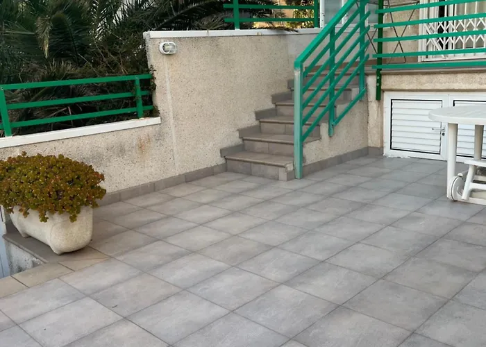 Paradis * سالو